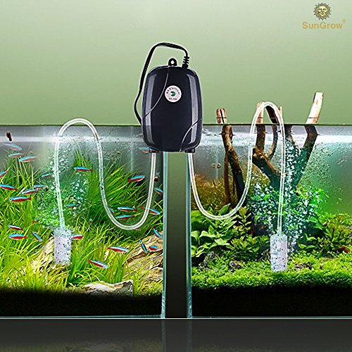 Buy Rhinox Aquarium Air Pump Power 2 Tanks Fish Tank Aerator with