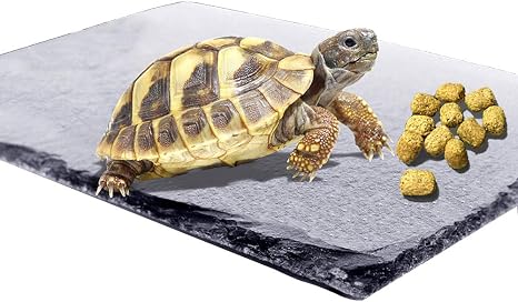 Amazon Com Reptile Basking Platform Tortoise Rock Plate Turtle Bathing Area Feeding Food Dish Resting Terrace Pet Supplies