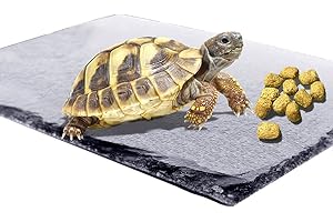 kathson Reptile Basking Platform Tortoise Rock Plate Turtle Bathing Area Feeding Food Dish Resting Terrace