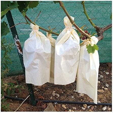 bolsas para uvas amazon
