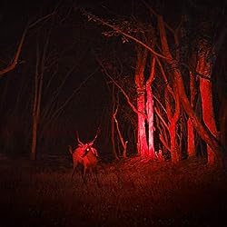 AR happy online 3 Pack Red Light Flashlight, 3