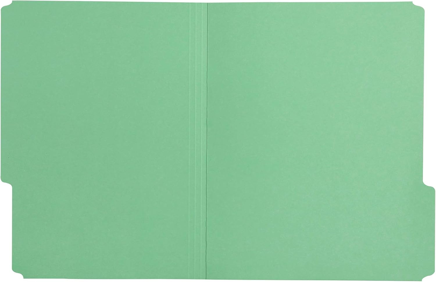 Basics File Folders, Letter Size, 1/3 Cut Tab, Bright Green, 36-Pack : Office Products
