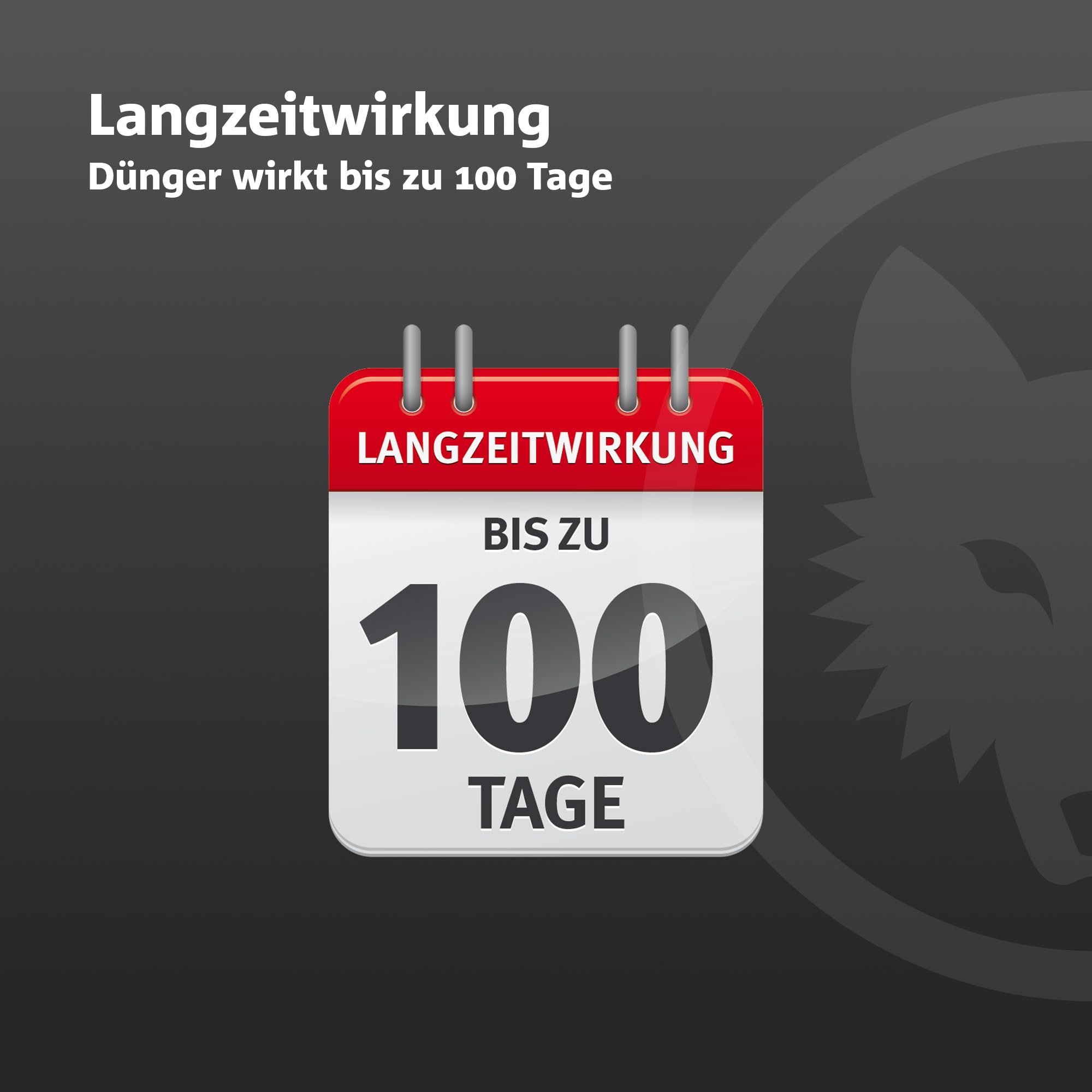 WOLF-Garten 2-in-1: Unkrautvernichter + Rasendünger SQ 120 (Rasendünger und Unkrautvernichter, wirkt über Blätter und Wurzeln, Wirkung bis zu 100 Tagen, ausreichend bis 120 m2) 3840720 5