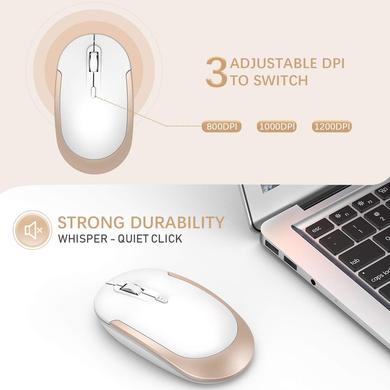 Wireless Keyboard and Mouse, Jelly Comb 2.4G Slim Compact Quiet Small Keyboard and Mouse Combo for Windows, Laptop, PC, Notebook-White and Gold: Computers & Accessories