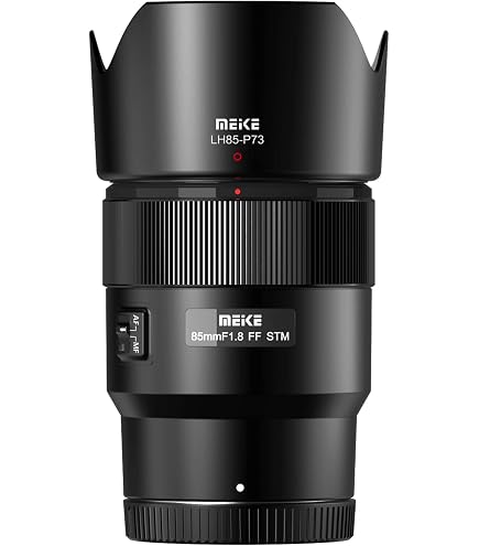 Lente DX 55-300mm F/4.5-5.6G ED VR, Nikon 123508, Preto | Amazon