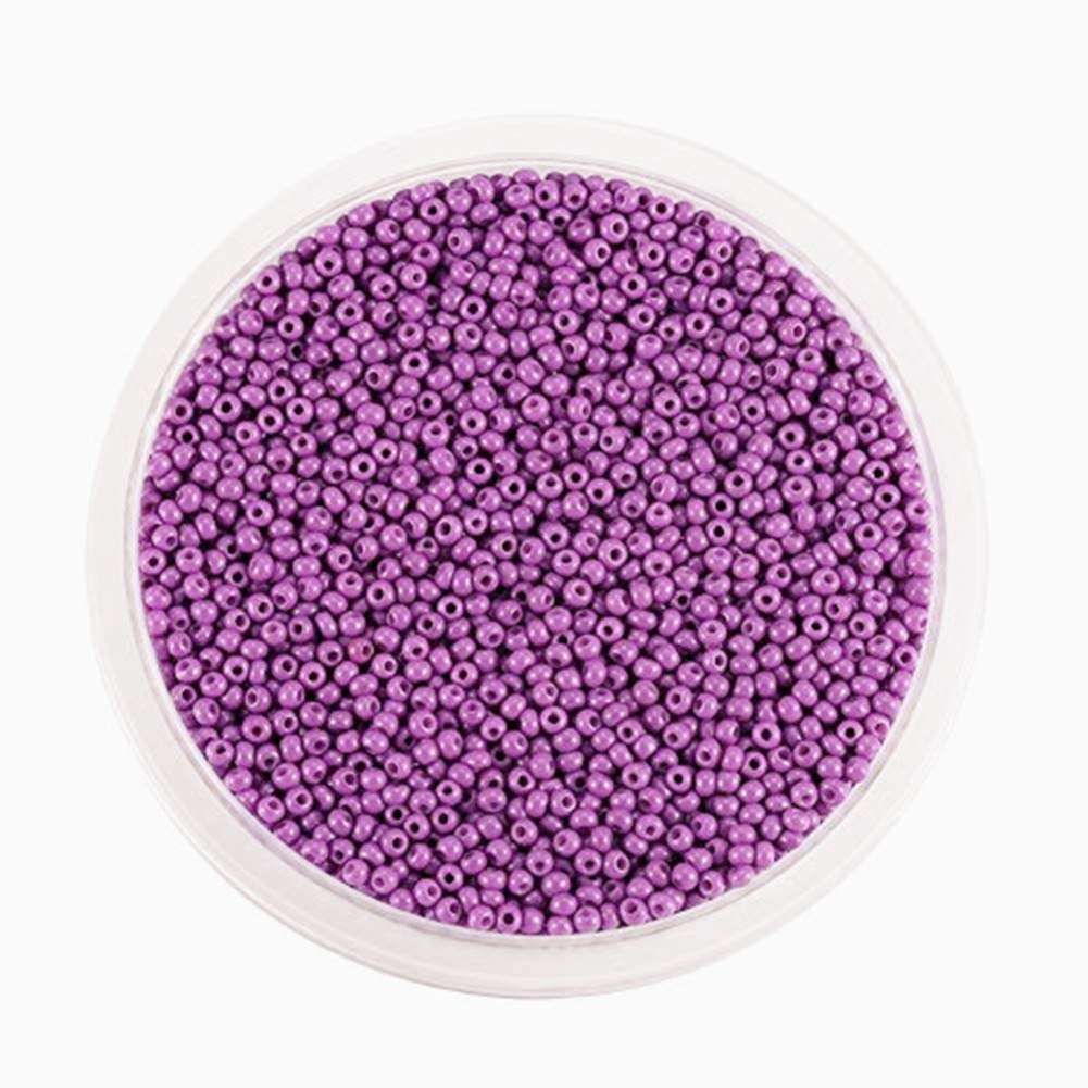 Around 9000pcs Glass Seed Beads Round Pony Bead Mini Spacer Beads 2mm for Jewellery Making Hair Accessories Beadwork Craft (Purple)