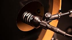 AUDIX D6 Cardioid Dynamic Kick Drum Microphone