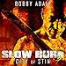 Slow Burn: City of Stin, Book 7: Slow Burn Zombie Apocalypse Series