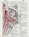 Human Face and Arteries - Dictionary Art Print