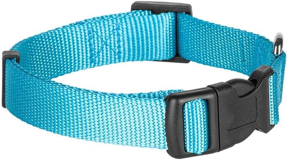 Blueberry Pet Essentials 22 Colors Classic Dog Collar, Turquoise, Large, Neck 18"-26", Nylon Collars for Dogs : Pet Supplies