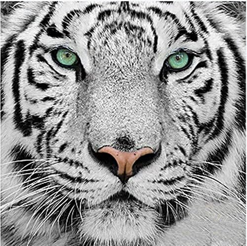 ESOOR 5D DIY Diamond Painting, Cross Stitch DIY Diamond Painting Kits Arts Tiger 12X12 Inches