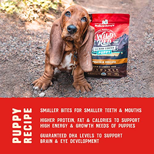 Stella & Chewy's Wild Red Dry Dog Food Raw Coated High Protein Grain & Legume Free Puppy Prairie
