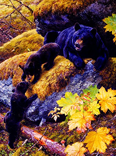 Nosing Around 1000 Piece Jigsaw by SunsOut