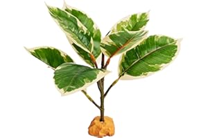 Woyrise Reptile Plants for Terrarium Decor, Amphibian Habitat Artificial Plant, Bearded Dragon Tank Accessories fit Gecko Lizard Chameleon Ball Python Snake Frog - Ficus Microcarpa