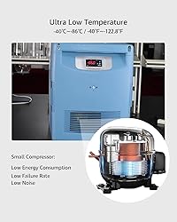 Bonxrdun Lab Cryogenic