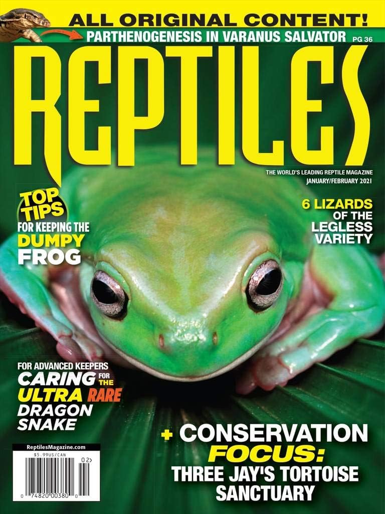 Reptiles
