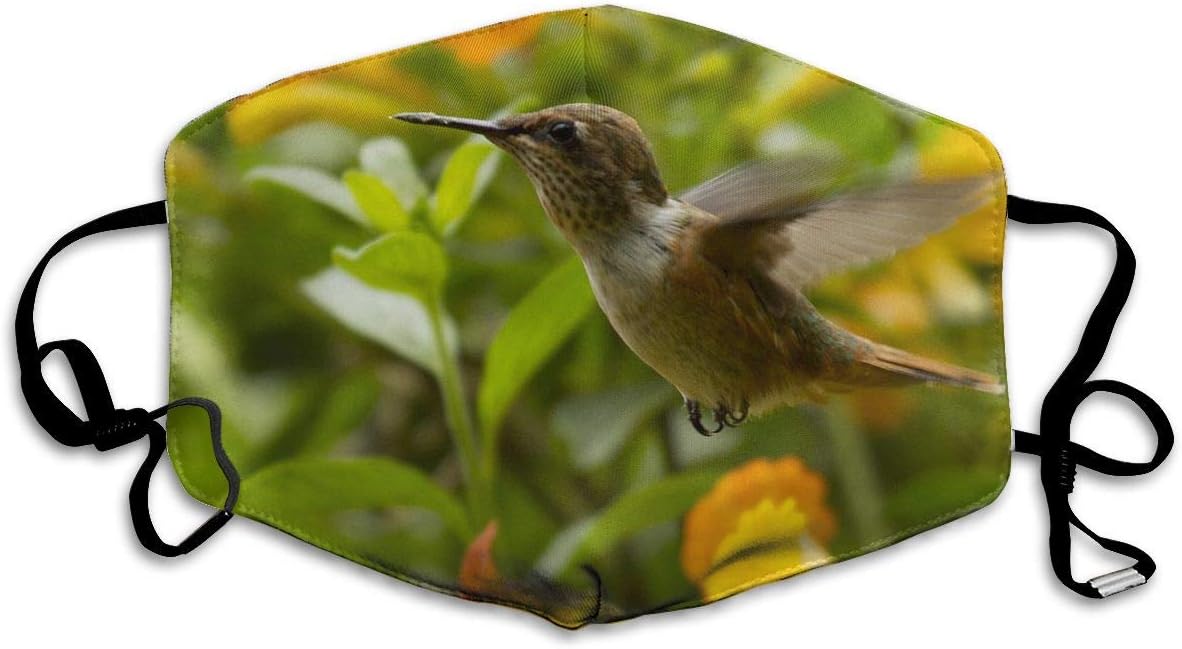 Fashion Face Cover Adjustable Elastic Band Hypoallergenic Face and Nose Cover for Pollen Smog Medical Climbing (Hummingbird Looking for Food)