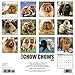 Just Chow Chows 2018 Calendar