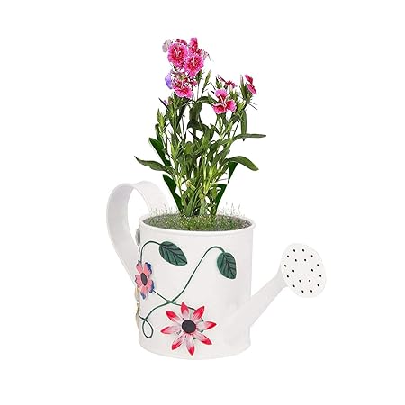 Nutech Impex Metal Hand Painted Watering Can, Gift, Gifting, Kids Beach Garden Gardening (White)