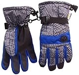 N'Ice Caps Kids Thinsulate and Waterproof Geo Lines Print Ski Gloves (10-12yrs, Royal/Grey)