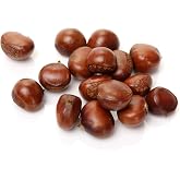 Fresh Raw Chestnuts (3 Pounds) - Premium Chestnuts &ndash; Farm Fresh