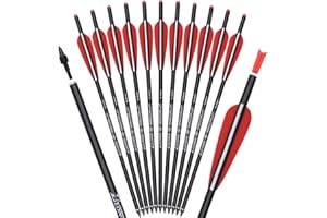 TY ARCHERY Carbon Crossbow Bolts 16 18 20 Inch Hunting Archery Arrows with 4" Vanes Replaced Arrowhead Tip (Pack of 12)
