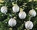 Sleetly Silver Jeweled Shatterproof Christmas Ball Ornaments, Set of 12, 3.15