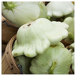 Everwilde Farms - 1/4 Lb Bennings Green Tint