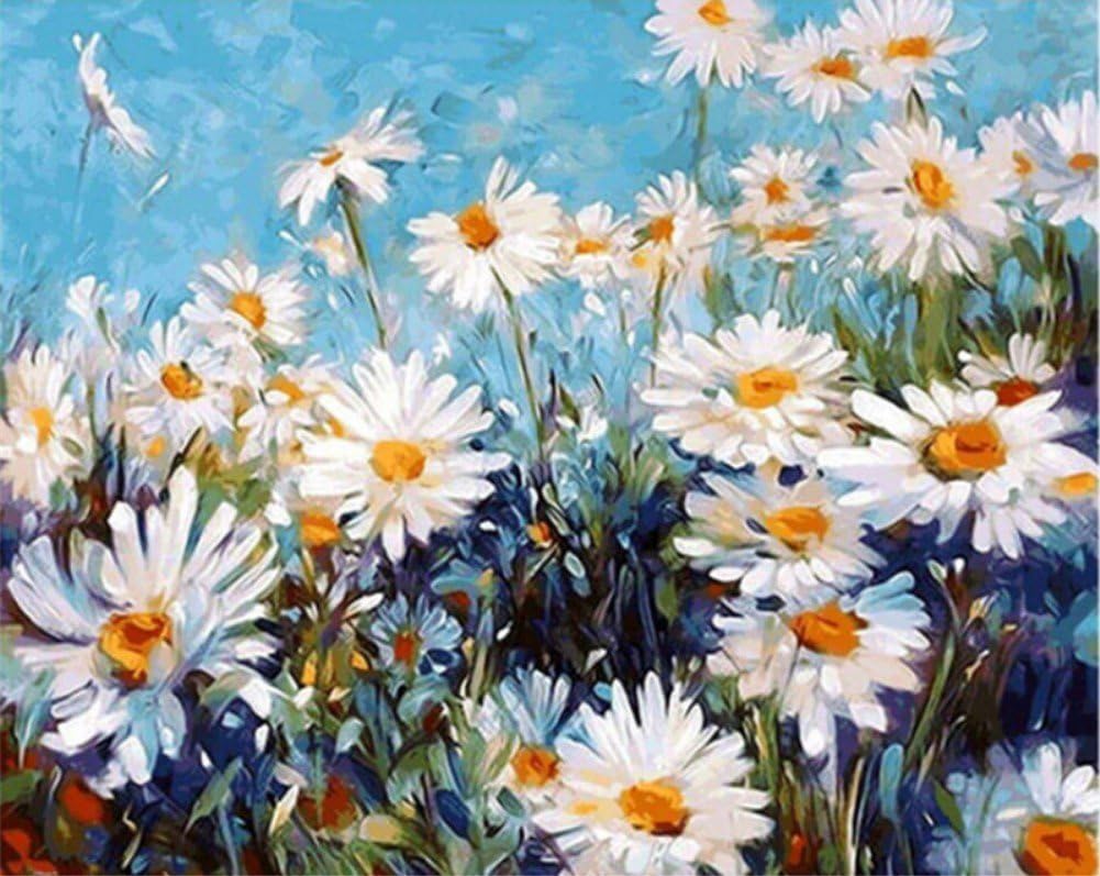 ABEUTY DIY Paint by Numbers for Adults Beginner - Beautiful Field Daisy 16x20 inches Number Painting (No Frame)