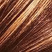 L'Oreal Paris Touch on Highlights Customizable Highlights, H50 Toasted Almond