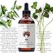 Laritelle Organic Hair Loss Prevention for Men & Women 4 oz | Fortifying, Strengthening & Rejuvenating | Prevents Hair Shedding, Promotes New Hair Growth & Scalp Health | GMO-free. Vegan