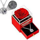 Gifts for Women Preserved Rose Eternal Flowers with Gift Box Eternal Roses for Delivery Prime Birthday Gifts for Grandma Wife Sister Christmas Anniversary Eternal Roses (red)