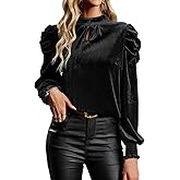 Womens Mock Neck Puff Long Sleeve Velvet Tops Fall Winter Trendy Dressy Casual Elegant Shirts Blouse