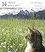 Cat Page-A-Day Gallery Calendar 2017