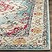 Safavieh Monaco Collection MNC243J Vintage Bohemian Light Blue and Fuchsia Distressed Area Rug (2'2