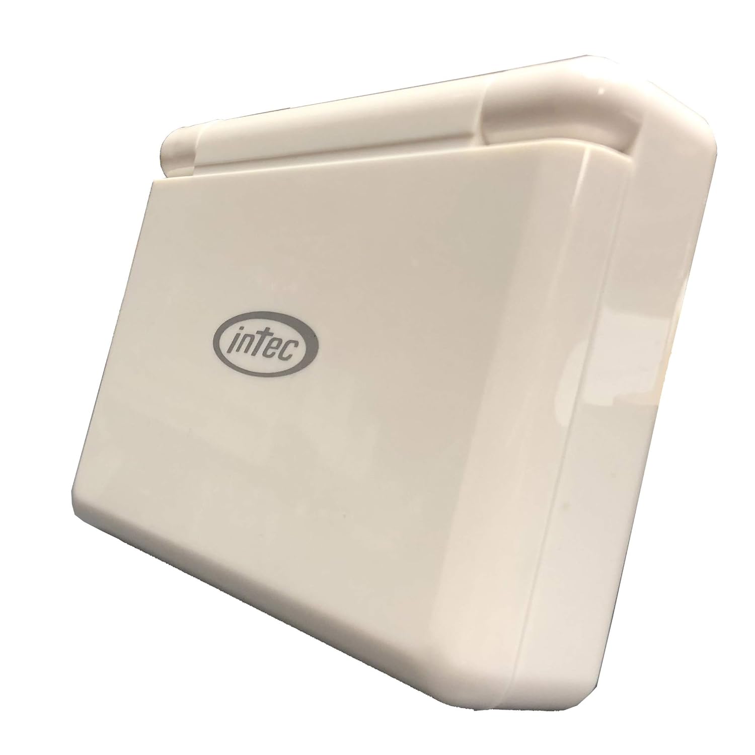 Nintendo DS Lite Dura-Case - White: Artist Not Provided: Video Games