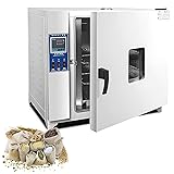 Laboratory Drying Oven, Lab Forced Air Convection