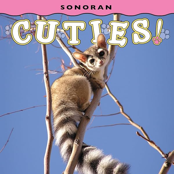 Raccoon Dogs (Odd but Adorable Animals): Daniels, Ruby