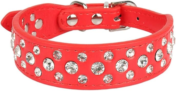 indestructible dog collar