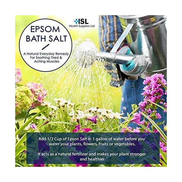 Epsom-Salts-1-kg-Magnesium-Sulphate-Salt-Bath-Salt Epsom Salts 1 kg (Magnesium Sulphate Salt) Bath Salt