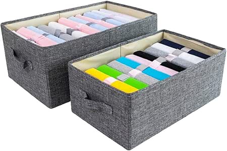 ZYliunian Cajas de Almacenamiento Conjunto de 2, Contenedores de