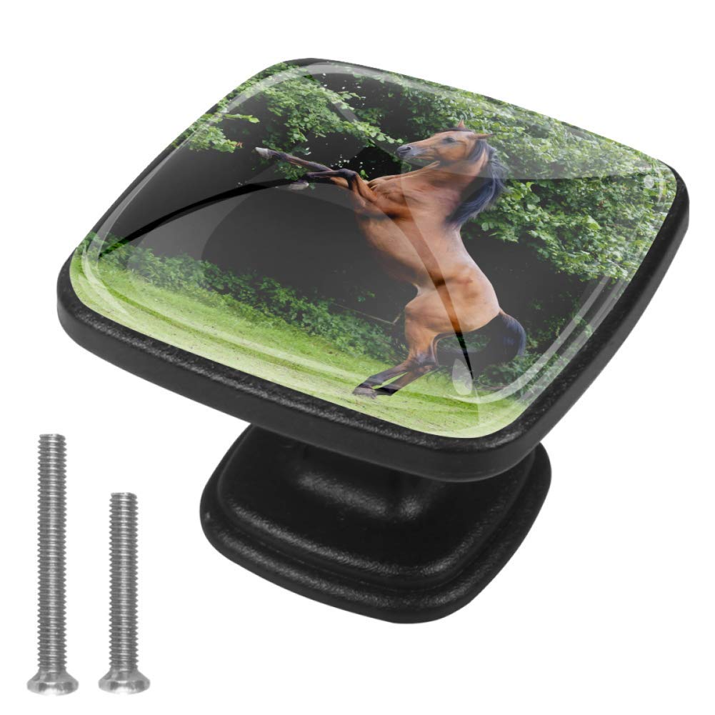 Küchenschrankknöpfe Braunes Pferd Tier Nachttischknöpfe Bemalte