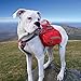 Kurgo Dog Saddlebag Backpack, Back Pack Dog Harness, Hiking Pack for Dogs, Packs for Pets to Wear, Camping & Travel Vest Harness, Reflective, Lightweight, Baxter Pack for Medium & Large Pets
