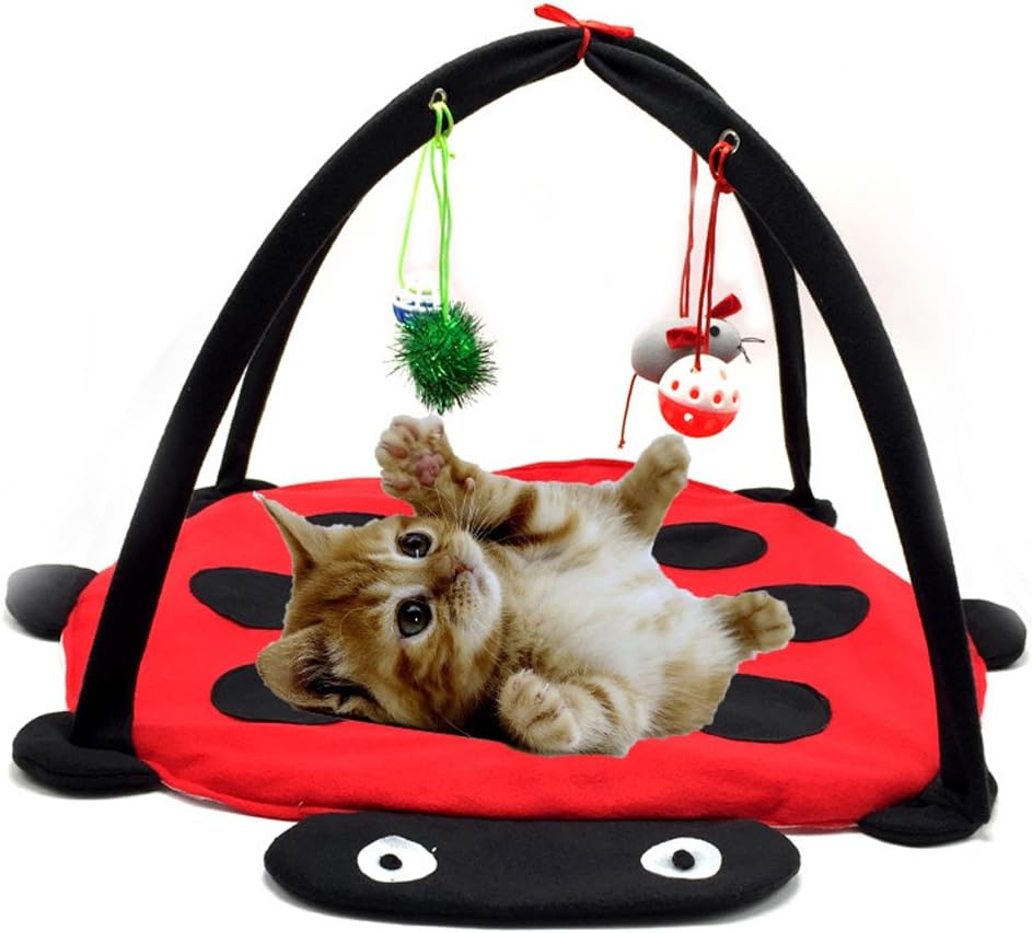 play mat for cats