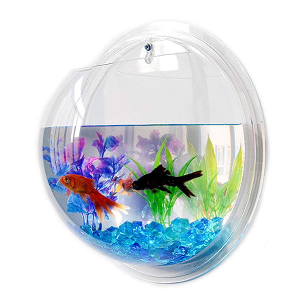 ULTECHNOVO Hanging Wall Mounted Fish Bowl- Acrylic Wall- Mounted Plant Pot Aquarium Wall Decor Hanging Fish Bowl for Water Plants ( 7 inch )