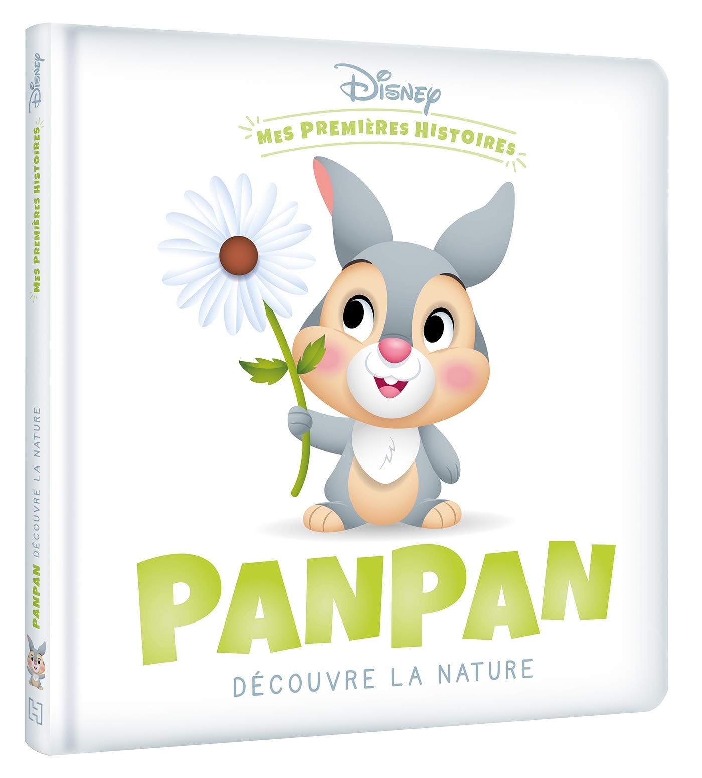 Disney Mes Premieres Histoires Panpan Decouvre La Nature Amazon Fr Disney Livres