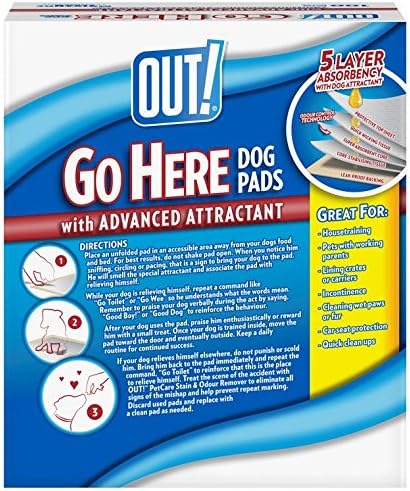 Go Here Ultra saugfähige Training Pads - 100 Stück