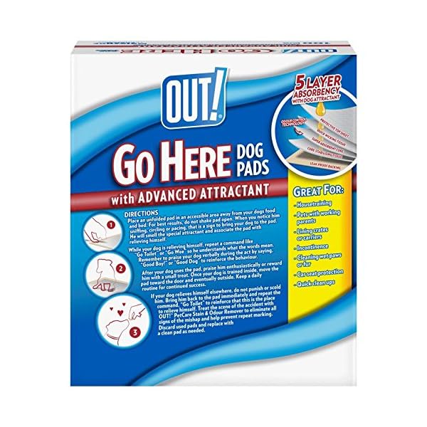 OUT! Go Here Absorbent Pet and Puppy Training Pads |100 Pads