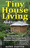 Tiny House Living And Loving It: 50 Creative Ways To Maximize Your Small Living Space, Declutter And Get Organized (Tiny House, Small House, Decluttering, Organization, Small Space Living)