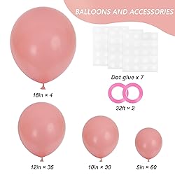 RUBFAC 129pcs Retro Pink Balloons Different Sizes